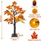 2 Pack & Timer 24 Inch Lighted Maple Tree Fall Decor, Total 48 LED Battery Operated Tabletop Artificial Tree Design Patent Pumpkin & Acorn Thanksgiving Halloween Decoration Home Indoor